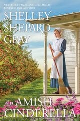 Amish Cinderella, An kaina ir informacija | Fantastinės, mistinės knygos | pigu.lt