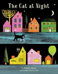 Cat at Night цена и информация | Исторические книги | pigu.lt