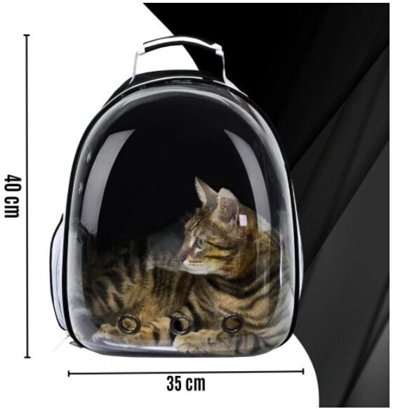 Kuprinė katėms Reverse, 35x40x22 cm kaina ir informacija | Transportavimo narvai, krepšiai | pigu.lt