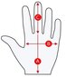 Moteriškos žieminės pirštinės R61, pilkos kaina ir informacija | Moteriškos pirštinės | pigu.lt