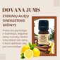 Aromaterapinis eterinių aliejų difuzorius, 10 ml kaina ir informacija | Namų kvapai | pigu.lt