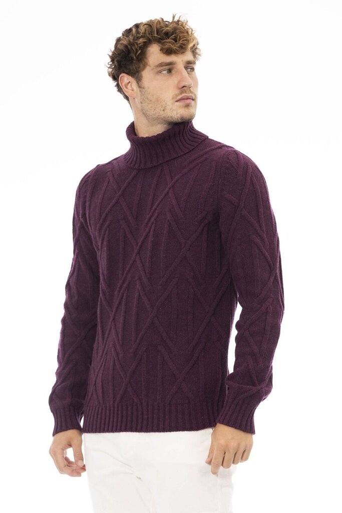 Džemperis vyrams, violetinis цена и информация | Džemperiai vyrams | pigu.lt