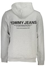 Tommy Hilfiger džemperis vyrams DM0DM17781 GRPJ4, pilkas kaina ir informacija | Džemperiai vyrams | pigu.lt