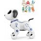 Žaislinis interaktyvus šuo, Belsi kaina ir informacija | Žaislai berniukams | pigu.lt