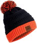 Vyriška žieminė kepurė R66 kaina ir informacija | Vyriški šalikai, kepurės, pirštinės | pigu.lt