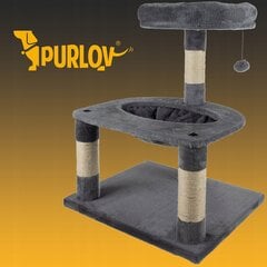 Kačių drąskyklė Purlov 21711, 61-100 cm, pilka цена и информация | Когтеточки | pigu.lt