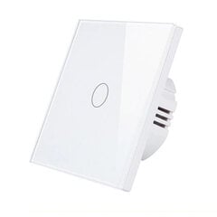 1-кнопочныйовый Zigbee умный сенсорный выключатель (однопроводной) SmartWise Z1-LS цена и информация | Выключатели, розетки | pigu.lt