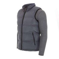 Куртка мужская NATURE, серая цена и информация | Мужские жилетки | pigu.lt