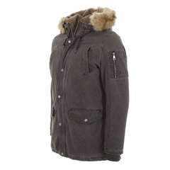 Куртка мужская NATURE, серая цена и информация | Мужские куртки | pigu.lt