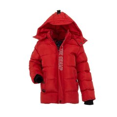 Striukė berniukams Nature, raudona цена и информация | Куртки для мальчиков | pigu.lt