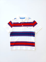 Polo marškinėliai berniukams Tommy HIlfiger, įvairių spalvų цена и информация | Рубашки для мальчиков | pigu.lt