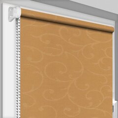 Рулонные шторы «Акант коричневый». Размер 40*170 цена и информация | Рулонные шторы | pigu.lt