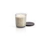 Max Benjamin kvapioji žvakė Irish Leather & Oud 210 g цена и информация | Žvakės, Žvakidės | pigu.lt