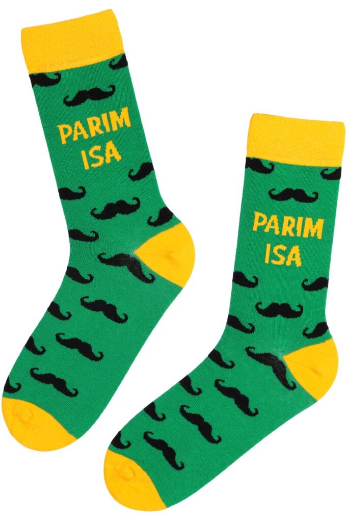 Kojinės vyrams Pelle, žalios kaina ir informacija | Vyriškos kojinės | pigu.lt