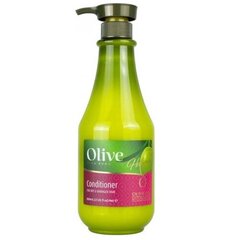 Plaukų kondicionierius Frulatte Olive, 800 ml kaina ir informacija | Balzamai, kondicionieriai | pigu.lt