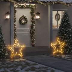 Kalėdinė šviečianti dekoracija Žvaigždė kaina ir informacija | Kalėdinės dekoracijos | pigu.lt