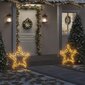 Kalėdinė šviečianti dekoracija Žvaigždė цена и информация | Kalėdinės dekoracijos | pigu.lt