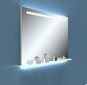 LED Veidrodis Berlin WiFi/Bluetooth, 120x70 см kaina ir informacija | Vonios veidrodžiai | pigu.lt