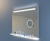 LED Veidrodis Berlin WiFi/Bluetooth, 120x70 см kaina ir informacija | Vonios veidrodžiai | pigu.lt