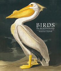 Birds: The Art of Ornithology (Pocket edition) цена и информация | Книги о питании и здоровом образе жизни | pigu.lt