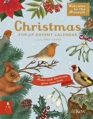 Welcome to the Museum: A Christmas Pop-Up Advent Calendar цена и информация | Книги для подростков и молодежи | pigu.lt