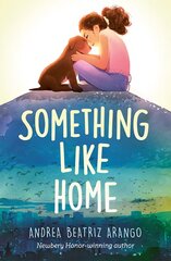 Something Like Home цена и информация | Книги для подростков и молодежи | pigu.lt