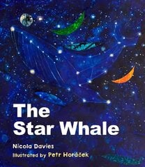 Star Whale цена и информация | Книги для подростков  | pigu.lt