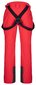 Slidinėjimo kelnės vyrams Kilpi Mimas-m, raudonos kaina ir informacija | Vyriškа slidinėjimo apranga | pigu.lt