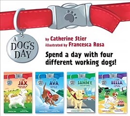 Dog's Day Set #1-4 kaina ir informacija | Knygos paaugliams ir jaunimui | pigu.lt