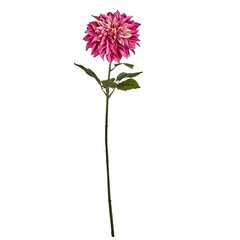 Декоративный цветок Георгин Фуксия 16 x 74 x 16 cm (6 штук) цена и информация | Искусственные цветы | pigu.lt