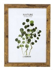 Nuotraukų rėmelis Nature D215 15x21 cm kaina ir informacija | Rėmeliai, nuotraukų albumai | pigu.lt