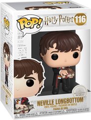 Funko POP! Harry Potter - Neville Longbottom kaina ir informacija | Žaidėjų atributika | pigu.lt