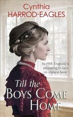 Till the Boys Come Home: War at Home, 1918 kaina ir informacija | Fantastinės, mistinės knygos | pigu.lt