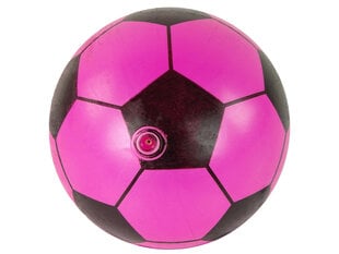 Guminis kamuolys, 23 cm, rožinis kaina ir informacija | Vandens, smėlio ir paplūdimio žaislai | pigu.lt