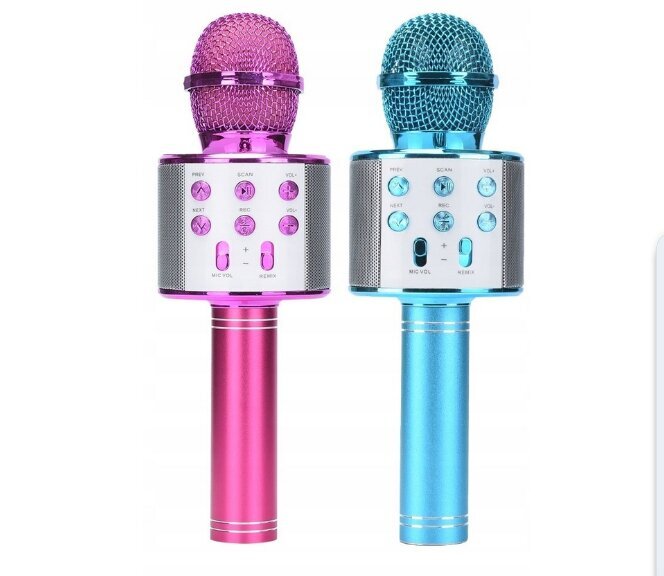 Belaidis karaokės mikrofonas Belsi, rožinis kaina ir informacija | Žaislai mergaitėms | pigu.lt