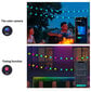 Išmani girlianda, 10m, 66 LED цена и информация | Girliandos | pigu.lt