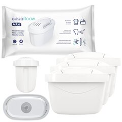 AquaFloow Maxi, 3vnt. kaina ir informacija | Vandens filtrai | pigu.lt