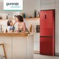 Gorenje NK89C0DR kaina ir informacija | Šaldytuvai | pigu.lt