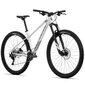 Kalnų dviratis Rock Machine Torrent, 29", pilkas kaina ir informacija | Dviračiai | pigu.lt