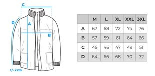 Зимняя куртка мужская Edoti C577 цена и информация | Мужские куртки | pigu.lt