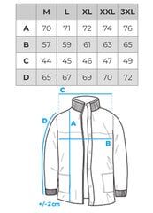 Зимняя куртка мужская Edoti C576 цена и информация | Мужские куртки | pigu.lt