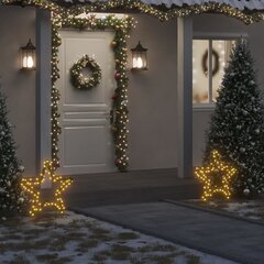 Kalėdinė šviečianti dekoracija Žvaigždė kaina ir informacija | Kalėdinės dekoracijos | pigu.lt