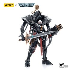 Figūrėlė Warhammer 40k Adepta Sororitas Paragon Warsuit Sesuo Aedita, 12 cm kaina ir informacija | Žaislai berniukams | pigu.lt