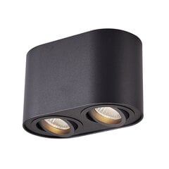 Lubinis šviestuvas Rondoc kaina ir informacija | Lubiniai šviestuvai | pigu.lt