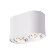 Светильник на потолок Rondoc цена и информация | Потолочные светильники | pigu.lt