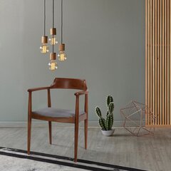 Обеденный стул Kalune Design Albero 43, коричневый цена и информация | Стулья для кухни и столовой | pigu.lt