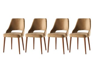4-ių kėdžių komplektas Kalune Design Acelya, rudas kaina ir informacija | Virtuvės ir valgomojo kėdės | pigu.lt