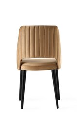 4-ių kėdžių komplektas Kalune Design Acelya, rudas kaina ir informacija | Virtuvės ir valgomojo kėdės | pigu.lt