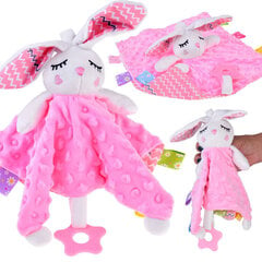 Плюшевая игрушка Кролик цена и информация | Игрушки для малышей | pigu.lt