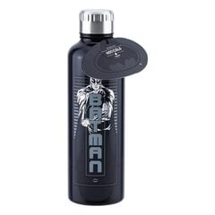 Batman, 450 ml kaina ir informacija | Žaidėjų atributika | pigu.lt